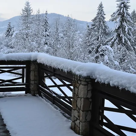 Complex Dvir Kniazhoiy Korony *